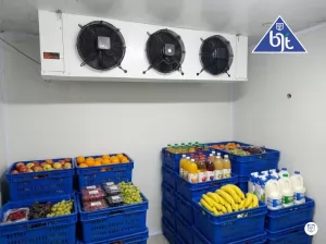 Cold Storage Chiller untuk Buah dan Minuman
